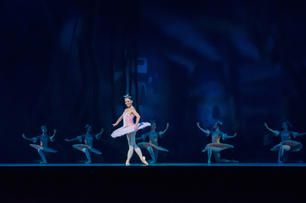 Eine Ballerina in einem rosafarbenen Tutu und Spitzenschuhen tanzt auf einer Bühne umgeben von anderen Tänzern in ähnlichen Kostümen, mit einem dunklen Hintergrund, der dramatische Beleuchtung schafft.