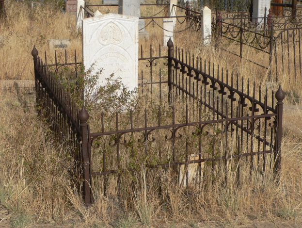 Friedhof mit Metallzaun, umgeben von Grabsteinen, Pflanzen und Gras.