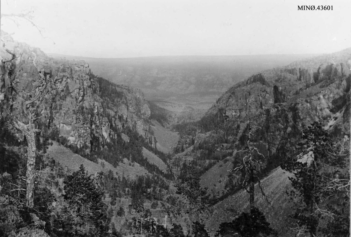 Schwarzes und weißes Foto eines Canyons mit der Beschriftung "Canyon of the Gods" und Bäumen, Hügeln und Himmel im Hintergrund.