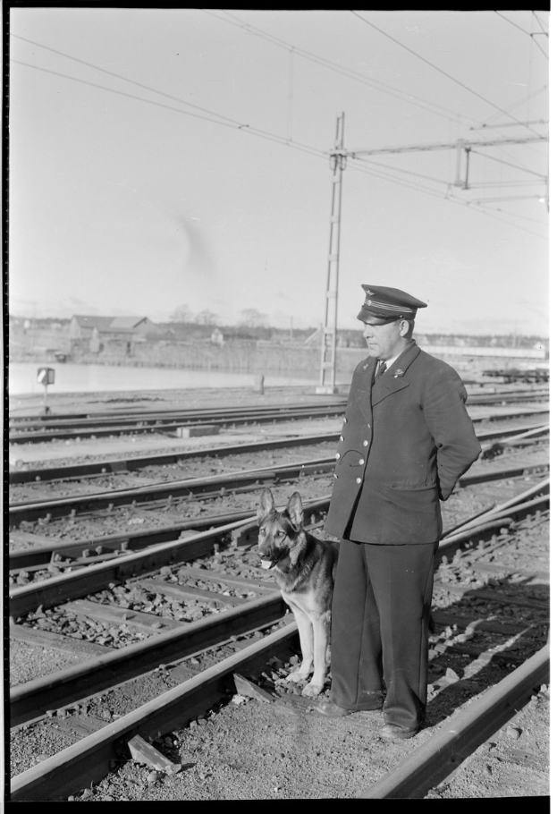 Schwarzes und weißes Foto eines uniformierten Mannes in einer Mütze, der neben einem Hund auf einem Bahngleis mit Strommasten, Drähten, Bäumen und einem klaren Himmel im Hintergrund steht.