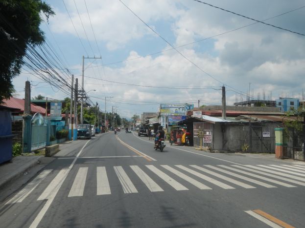 Stadtstraße mit Fahrzeugen, Zebrastreifen, Strommasten, Gebäuden, Bäumen und bewölktem Himmel.