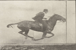 Ein Mann auf einem Pferd.