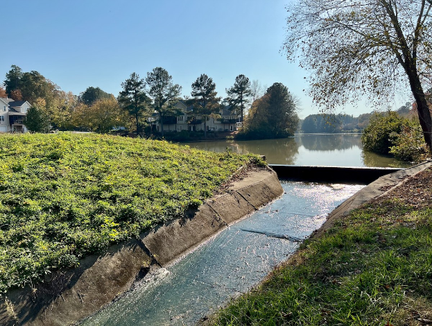 Ein kleiner Bach fließt durch ein grünes Feld neben einem Gewässer, gesäumt von Bäumen und Pflanzen, mit Gebäuden im Hintergrund unter einem klaren blauen Himmel.