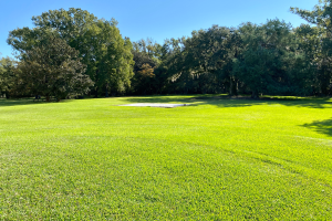 Ein Golfplatz mit saftig grünem Rasen und Bäumen im Hintergrund, gelegen auf der 18. Loch des Golfclubs in Charleston, SC, mit einem sichtbaren Himmel über den Bäumen.