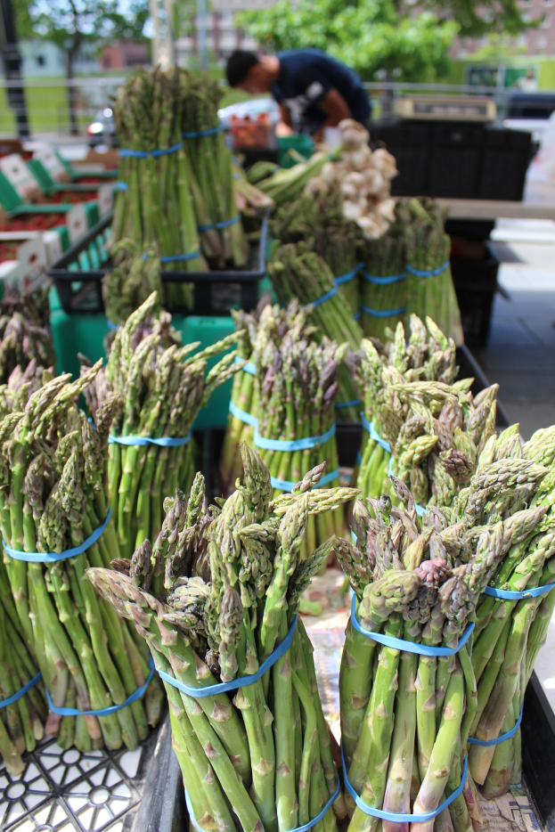"Asparagus ist das wichtigste Feldgemüse in Hessen"