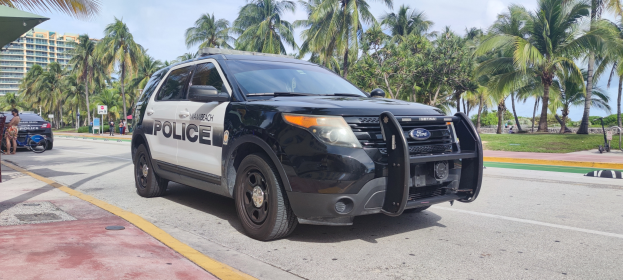 Ein Polizeiwagen am Straßenrand geparkt, umgeben von Menschen, Fahrrädern, Gras, Bäumen, Gebäuden und einem klaren blauen Himmel mit einem sichtbaren Vorderrad.
