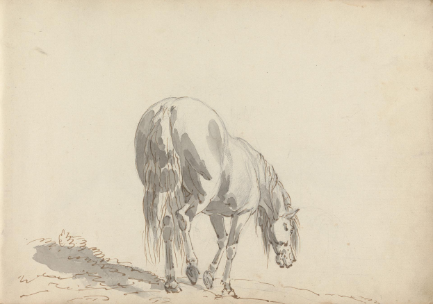 Ein Pferd, das auf einer Wiese grast, dargestellt in einem realistischen Stil von Joseph Mallord William Turner, mit wehender Mähne und Schweif, konzentrierten Augen und Hufeisen, die auf dem Gras stehen, vor einem üppigen grünen Feld mit entfernten Bäumen.
