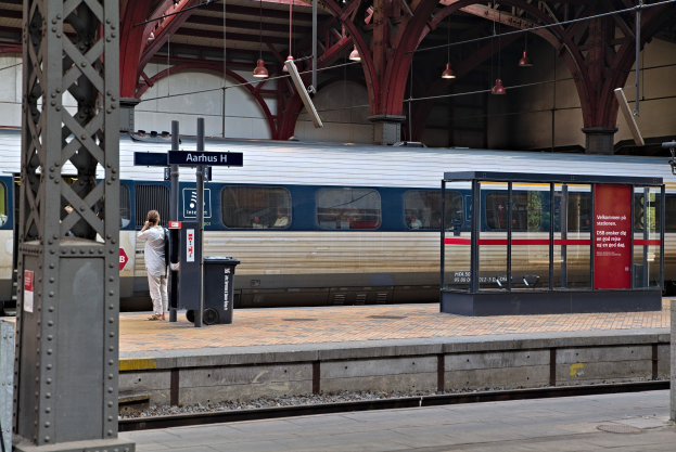 Ein Zug fährt auf einem Bahnsteig ein, mit einer Person in der Nähe, einem Müllcontainer, Stützen, Informationsplakaten und Deckenleuchten.