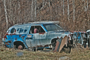 Abandoned vehicles and metal items scattered on the ground with bare trees in the background.
