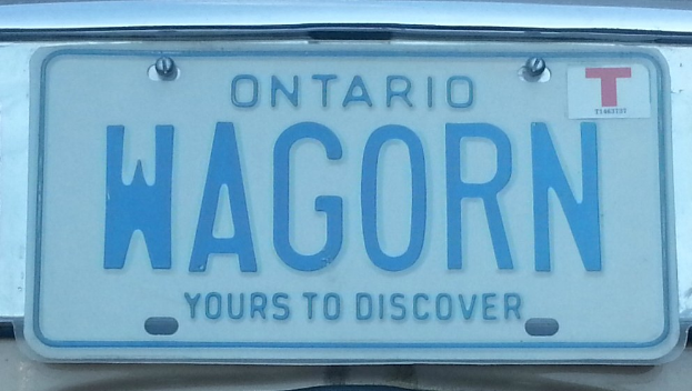 Ein Auto mit einem rechteckigen weißen Nummernschild, auf dem der schwarze Text "Wagorn" in fetter Schrift steht.