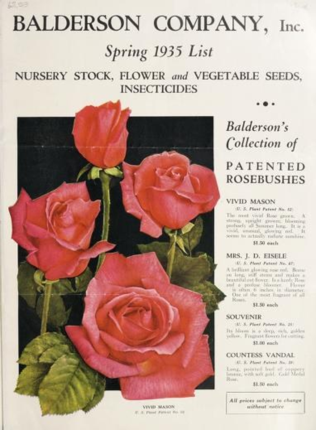 Papier aus dem Baldwin Company, Inc. Frühjahrskatalog 1935 mit pinken Rosen und Blättern sowie einer Liste von Zierpflanzen, Samen und Insektiziden.