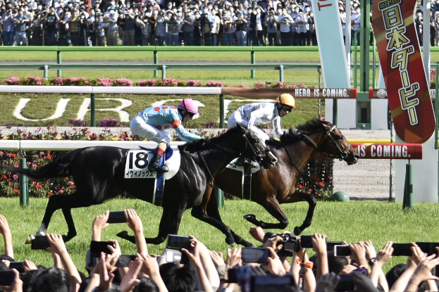 Zwei Jockeys auf Pferden, die vor einer Zuschauermenge eine Rennbahn entlanggaloppieren, während Zuschauer Kameras und Handys halten.